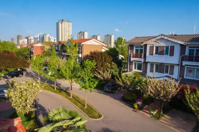 纸杯蛋糕 | 繁花五月，，，，，唯爱绵绵