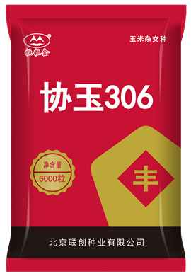 协玉306