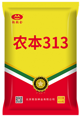 农本313