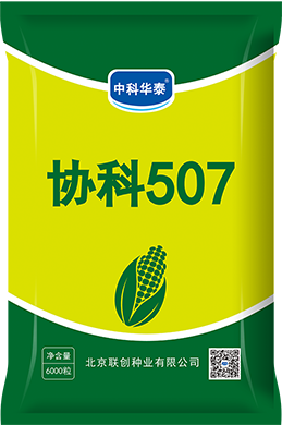 协科507